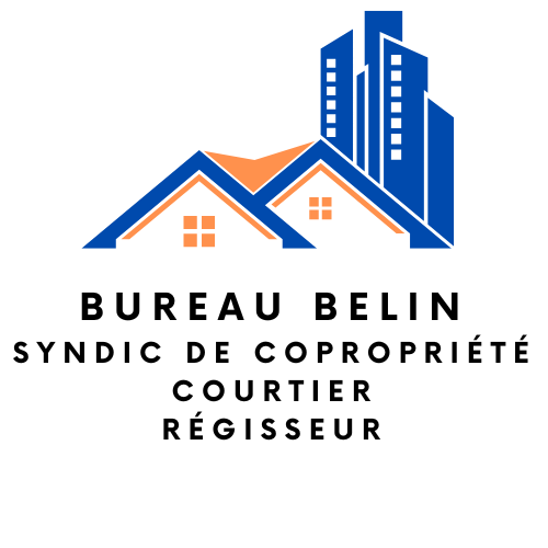 Patricia Belin - Agent immobilier agréé ipi 516031